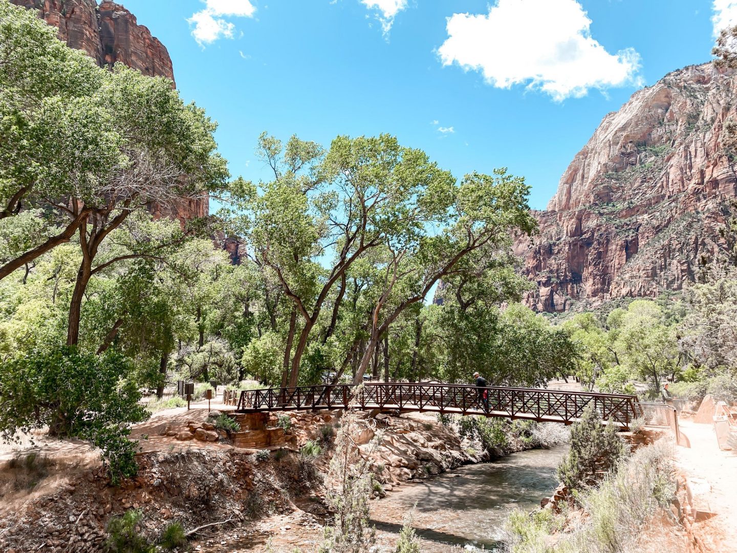 Zion National Park & Hiking The Narrows