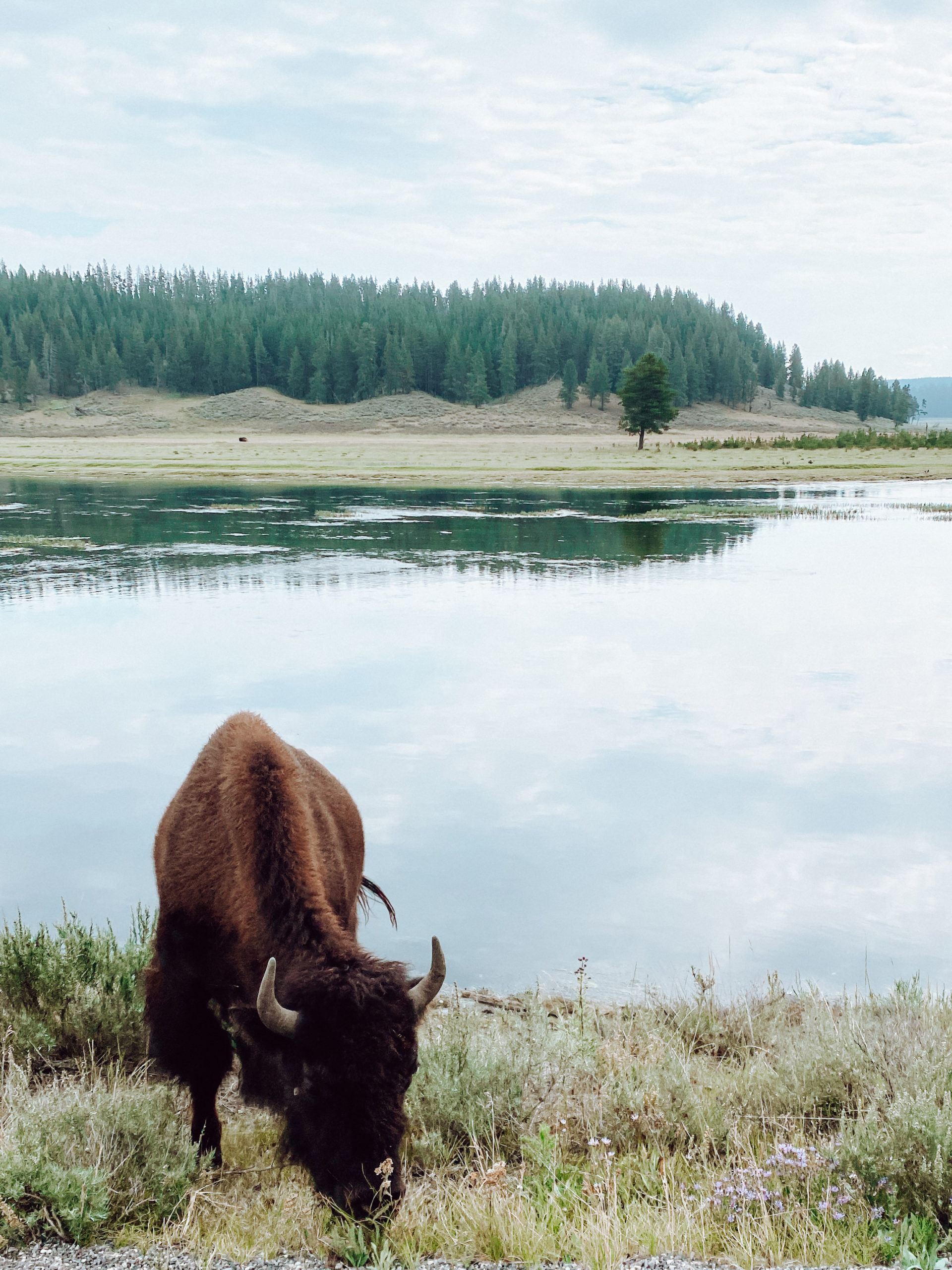 Photospots Yellowstone National Park